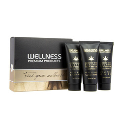 WELLNESS PREMIUM PRODUCTS Mini-Set WELLPLEX (Shampoo 50ml, Spülung 50ml, Maske 50ml)